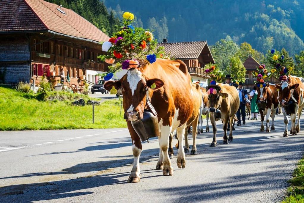 Confortable Chalet Avec Magnifique Vue En Gruyere. Charmey Bagian luar foto