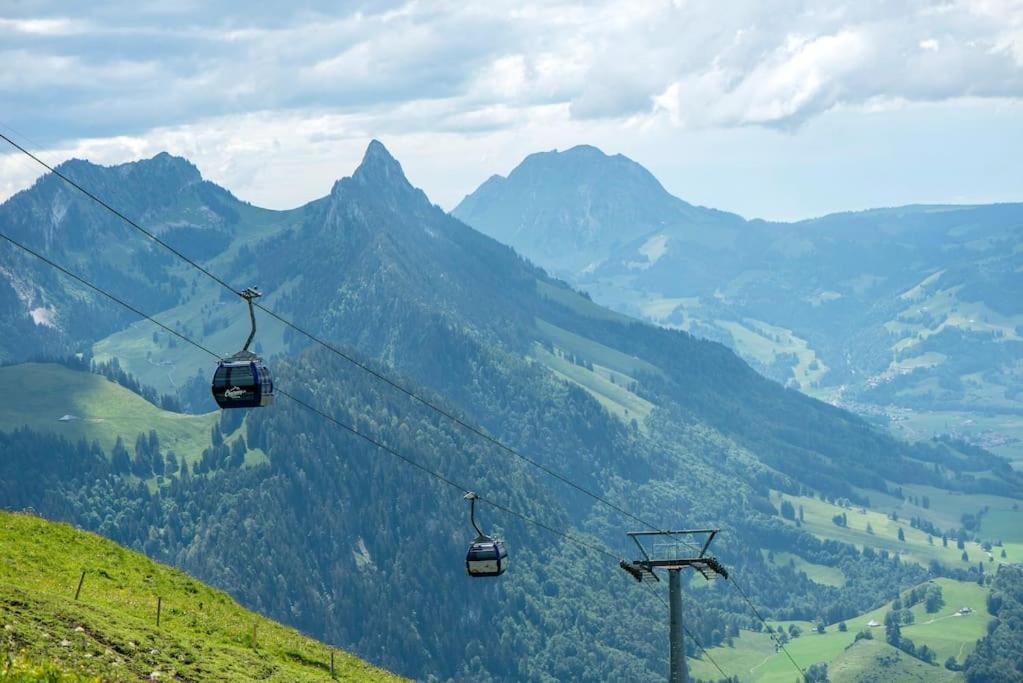 Confortable Chalet Avec Magnifique Vue En Gruyere. Charmey Bagian luar foto